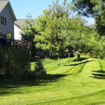 From Lawn to Listing: GOKO’s Tech Ambition and the New Scramble for the High-End Outdoor Robot Market
