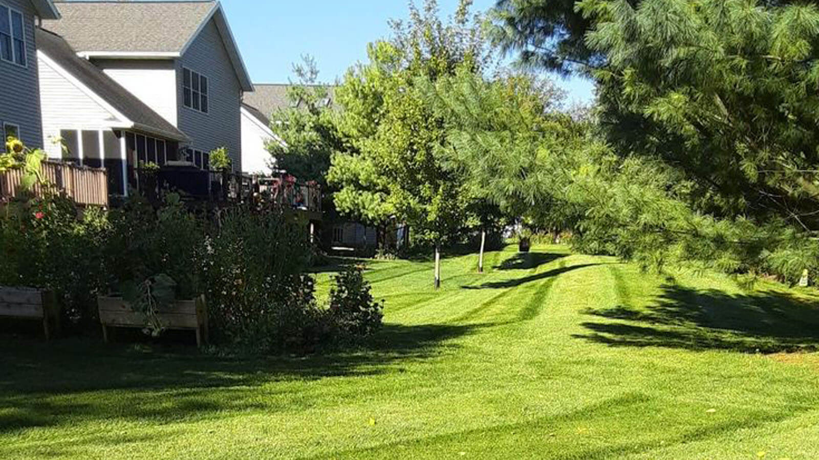 lawn-2