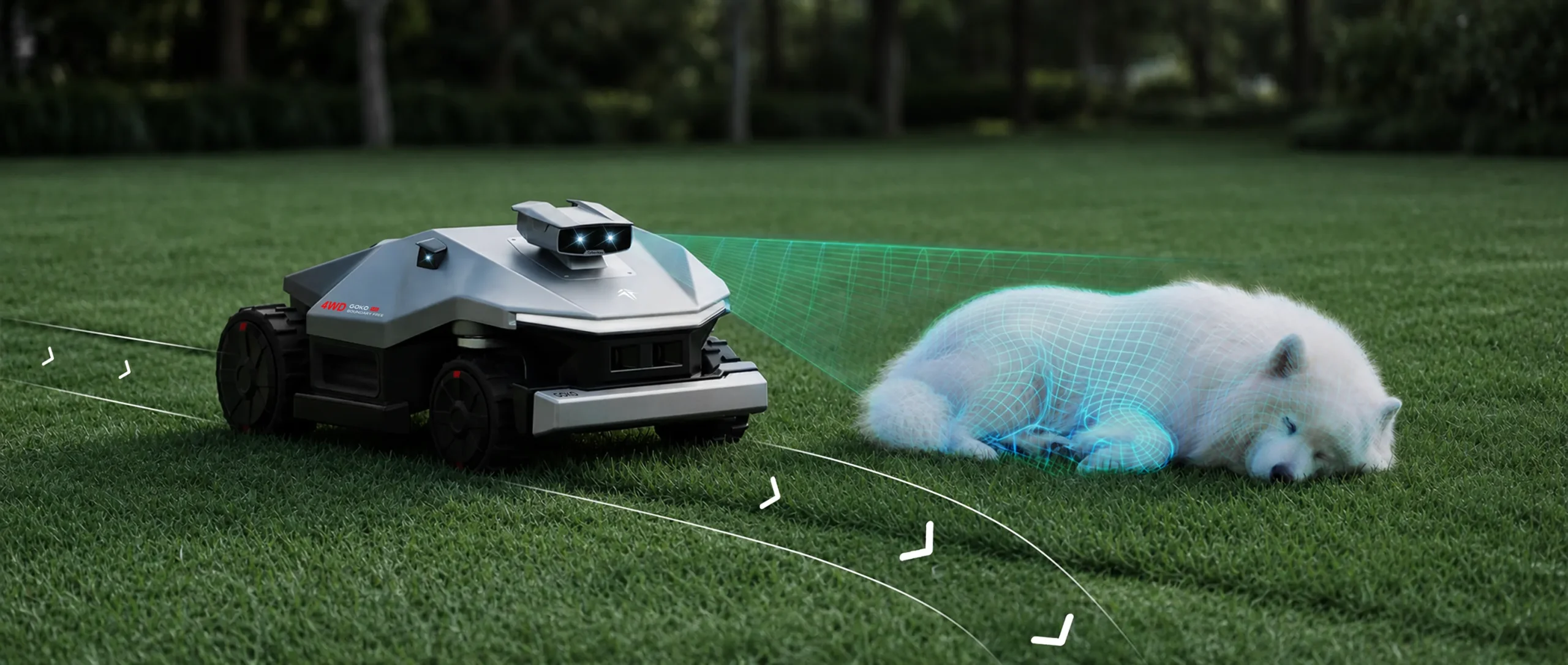 QuadVision detects dogs