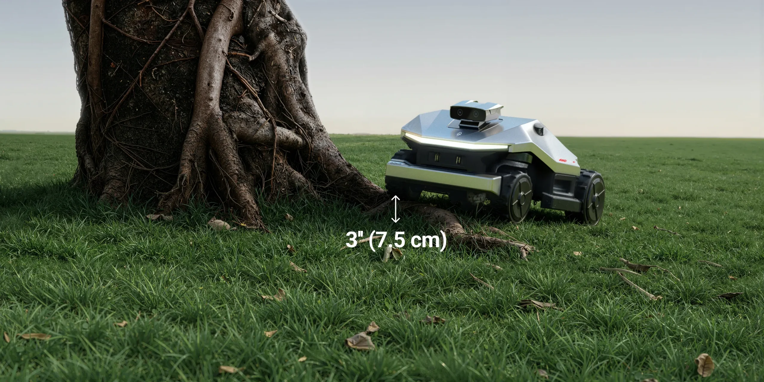 GOKO M6 handles tree roots